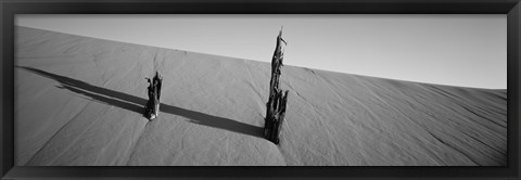 Framed Dead Pines at Coral Pink Sand Dunes State Park, Utah (black &amp; white) Print