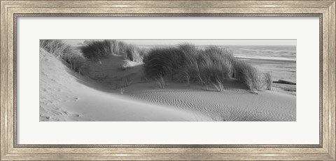 Framed Grass on the beach, Pacific Ocean, Bandon State Natural Area, Bandon, Oregon, USA Print