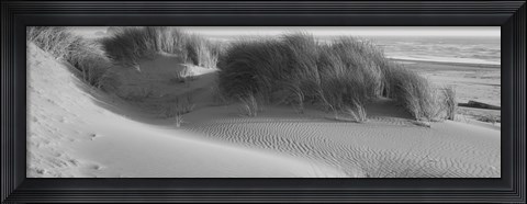 Framed Grass on the beach, Pacific Ocean, Bandon State Natural Area, Bandon, Oregon, USA Print