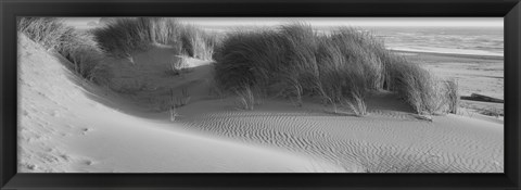 Framed Grass on the beach, Pacific Ocean, Bandon State Natural Area, Bandon, Oregon, USA Print