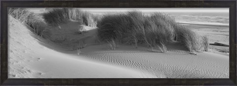 Framed Grass on the beach, Pacific Ocean, Bandon State Natural Area, Bandon, Oregon, USA Print
