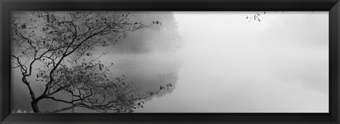 Framed Reflection of trees in a lake, Lake Vesuvius, Wayne National Forest, Ohio, USA Print