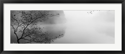 Framed Reflection of trees in a lake, Lake Vesuvius, Wayne National Forest, Ohio, USA Print