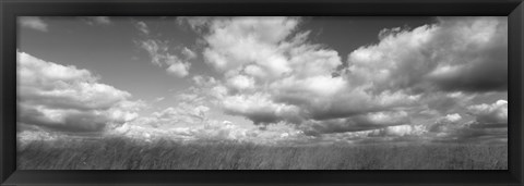 Framed Hayden Prairie, Iowa (black and white) Print