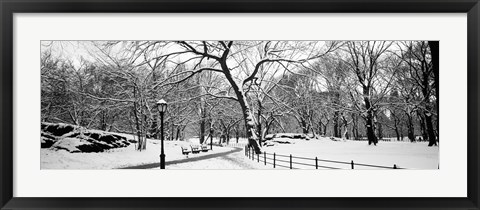 Framed Central Park in Snow Print