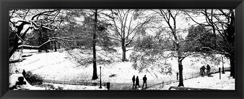 Framed High angle view of a group of people in a park, Central Park, Manhattan, New York Print