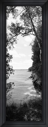 Framed Trees at the lakeside in black and white, Lake Michigan, Wisconsin Print