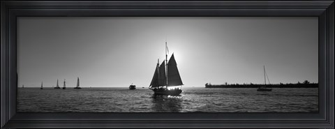 Framed Sailboat, Key West, Florida, USA Print