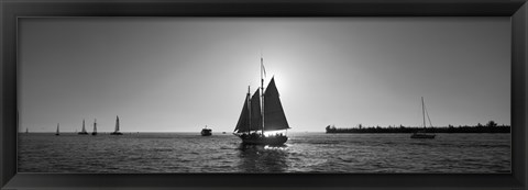 Framed Sailboat, Key West, Florida, USA Print