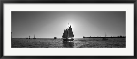 Framed Sailboat, Key West, Florida, USA Print
