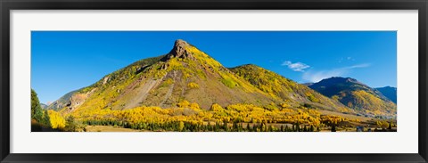 Framed Aspen trees on mountain, Anvil Mountain, Million Dollar Highway, Silverton, Colorado, USA Print