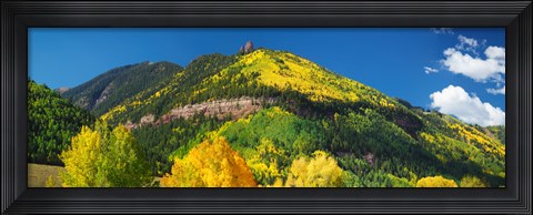 Framed Aspen trees on mountain, Needle Rock, Gold Hill, Uncompahgre National Forest, Telluride, Colorado, USA Print