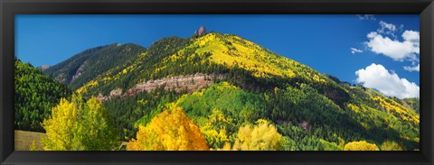 Framed Aspen trees on mountain, Needle Rock, Gold Hill, Uncompahgre National Forest, Telluride, Colorado, USA Print