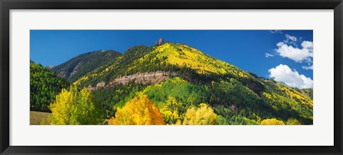 Framed Aspen trees on mountain, Needle Rock, Gold Hill, Uncompahgre National Forest, Telluride, Colorado, USA Print