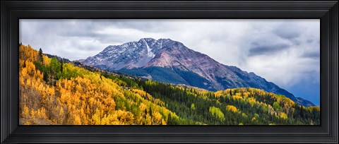 Framed Trees on mountains, San Juan National Forest, Colorado, USA Print
