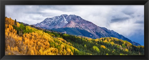 Framed Trees on mountains, San Juan National Forest, Colorado, USA Print