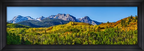 Framed Uncompahgre National Forest, Colorado Print