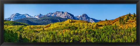 Framed Uncompahgre National Forest, Colorado Print