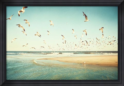 Framed Freedom Print