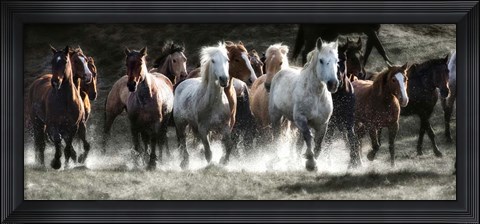 Framed Renegades Print