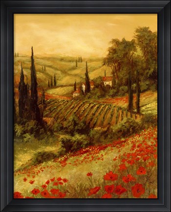 Framed Toscano Valley II Print