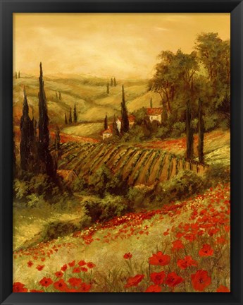 Framed Toscano Valley II Print