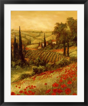 Framed Toscano Valley II Print