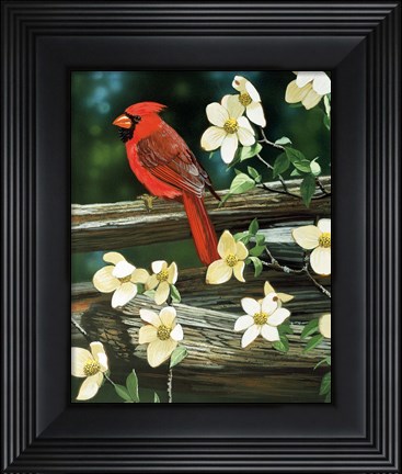 Framed Cardinal Print