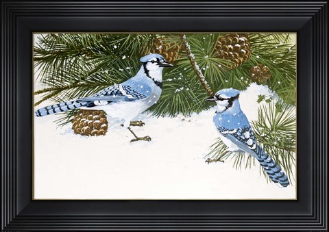 Framed Bluejays Print