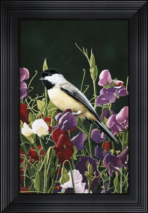 Framed Sweet Peas And Chickadee Print