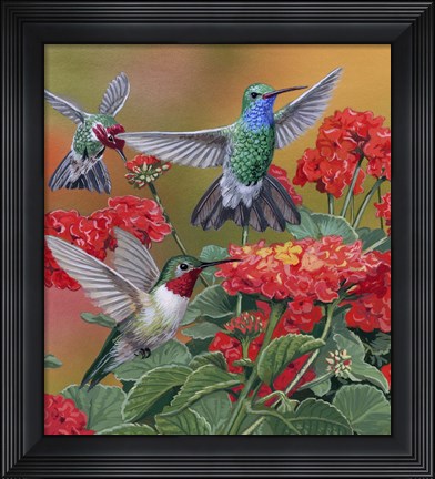 Framed Hummingbirds &amp; Flowers Print