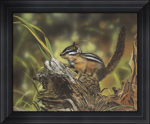 Framed Chipmunk Print