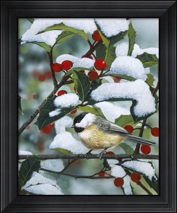 Framed Chickadees And Holly Branch Print