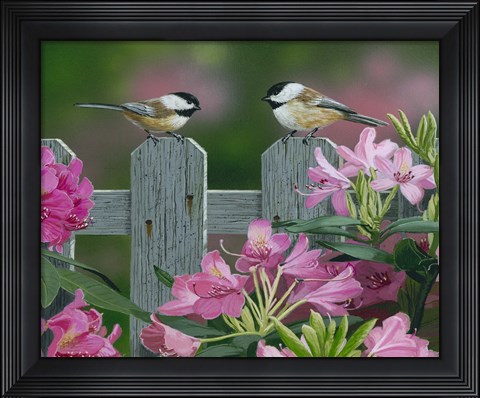 Framed Back Yard Chat Print