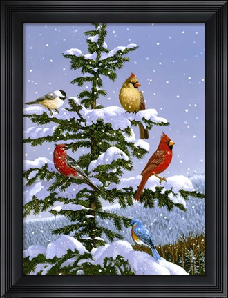 Framed Songbirds On A Limb Print