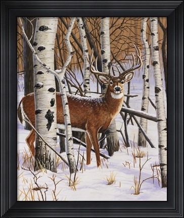 Framed On The Lookout Print