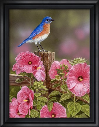 Framed Bluebird With Hibiscus Print