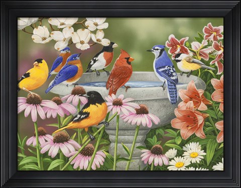 Framed Garden Birdbath Print