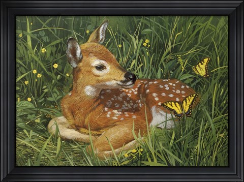 Framed Fawn Print