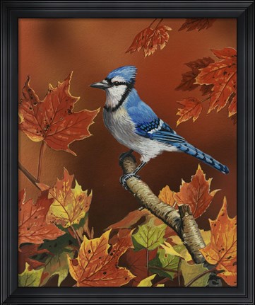 Framed Fall Colors Print