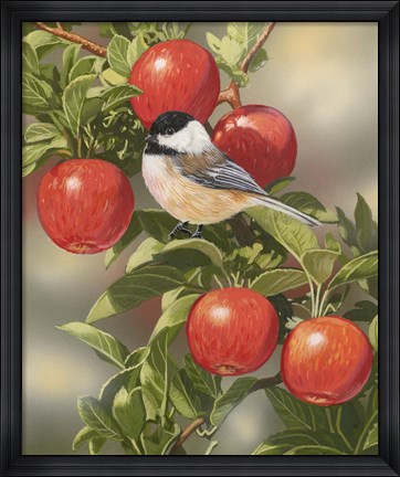 Framed Orchard Guest Print