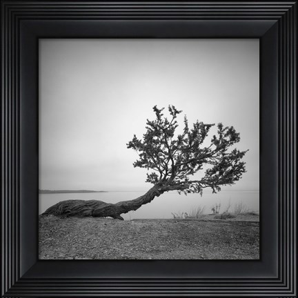 Framed Field and Stream Print