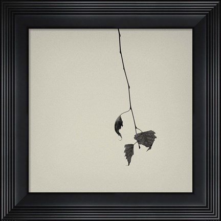 Framed Rumpus Print