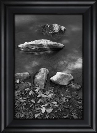 Framed Caudales Print