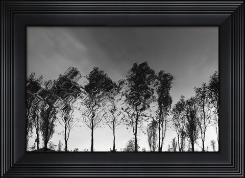 Framed Xochimilco Print