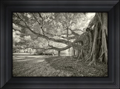 Framed Terraphilia Print