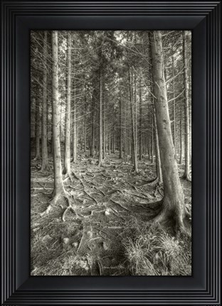 Framed Mnemonic Print