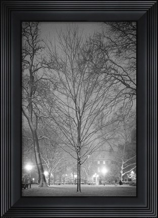 Framed Quaternary Age Print