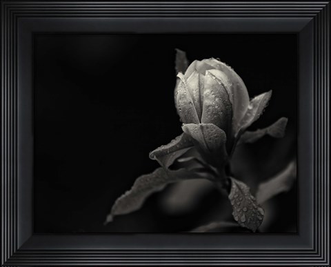 Framed Everything&#39;s Gonna Be Everything Print