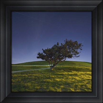 Framed Night Cyclist Print